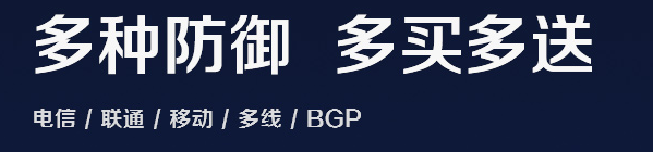 高防服務(wù)器租用一年的價(jià)格是多少？