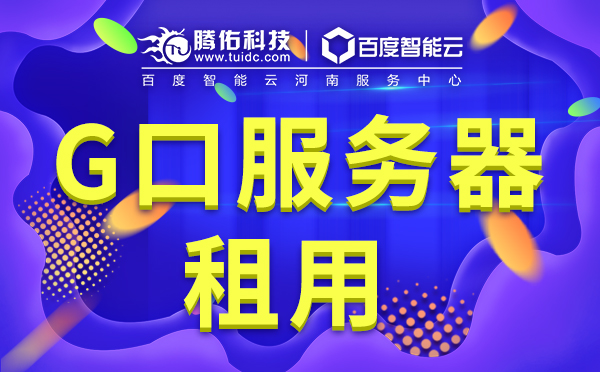 G口大帶寬服務(wù)器租用特點有哪些？