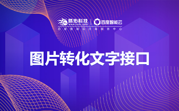 河南圖片轉(zhuǎn)換成文字后怎么將選定的文字加粗？