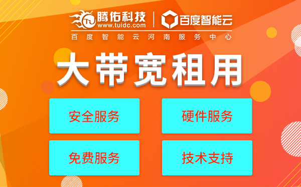 美國服務(wù)器如何做好網(wǎng)站運維？大帶寬機柜配置價格表？
