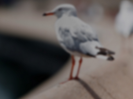 圖片二維碼識別SDK C#，百度圖像識別api接口